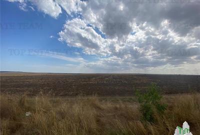 Teren extravilan in Mihail Kogalniceanu, Constanta - 7