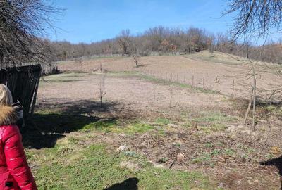 Casă cu 4 camere în Nadăș - 4