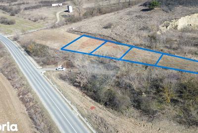 Teren de 2000 mp, în Moșna - 19