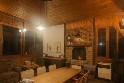 Pet Friendly, Vedere Padure, 5000mp teren, D+P+1E+M, semineu, foisor - 15