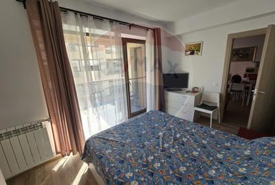 Apartament cu 3 camere semidecomandat, mobilat în Snagov - 14