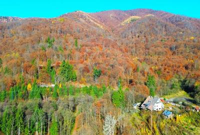 DE VANZARE DN Baia Mare-Sighet  29AR  Constructie multifunctionala - 2