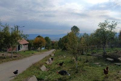 Casă cu 1 camere în Crocna - 8