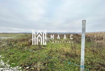 Spațiu comercial, în Bradu - 7