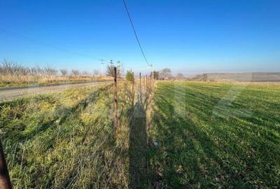 Teren de 13000 mp, în Lucăcești - 5