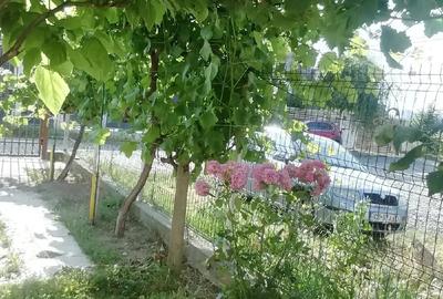 Casă cu Teren 257 Mp în Central - 1