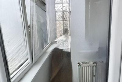 Apartament cu 4 camere decomandat în Casa de Cultură - 26