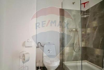 Apartament cu 2 camere decomandat în Băile Felix - 11