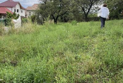 VAND TEREN PENTRU CONSTRUCTII, COM.CETATENI - ARGES - 5