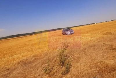 Teren de 2000 mp, în Brănești