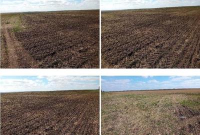 Teren extravilan cota parte 1/2 Alexandria, ID: R2814838 - 4