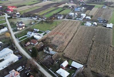 Casa de vanzare in Com Fratautii Noi - 3