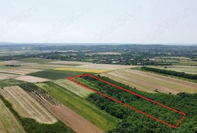 Teren de 15740 mp, în Central - 5