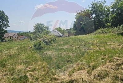 Teren  intravilan  de vanzare Oras  Saliste  Strada Livezii Jud. Sibiu - 14
