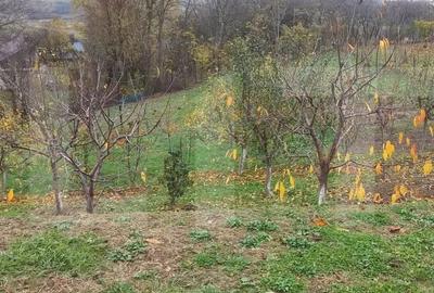 Casa batraneasca cu teren generos 1.807 mp, Tulbureni - 4