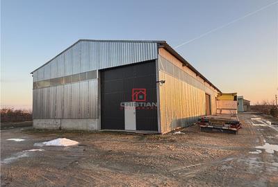 Spațiu comercial, de 1,630 mp, în Bolintin-Deal - 13