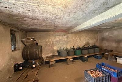 Casă individuală cu 6 camere cu Teren 2681 Mp în Buciumi - 11
