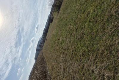 Teren de 1400 mp, în Central - 5