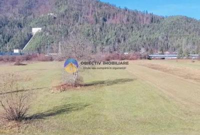 TEREN intravilan 4488 mp - PANGARA?I - 6