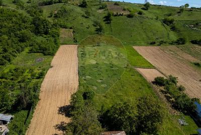 Teren 11.317 mp situat in Parava - Dragusani - Bacau - 3