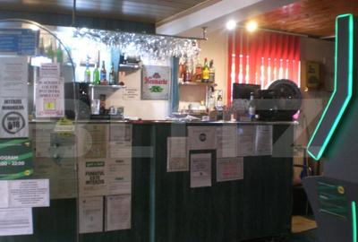 Spatiu comercial, 100 mp, terasa, Bld. Castanilor Spatiu comercial, 100 mp, terasa, Bld. Castanilor - 18