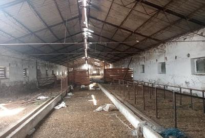 Spațiu comercial, de 4,565 mp, în Cunța - 2
