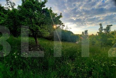 Teren intravilan 1628mp,cu panorama deosebita,in Feleacu - 6