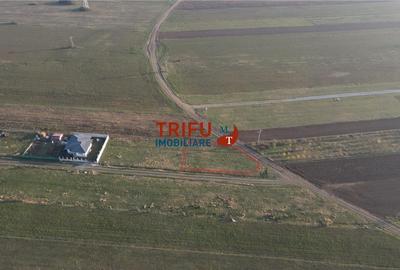 Oportunitate! Teren Construibil 600 mp în Zona Barabant - 2