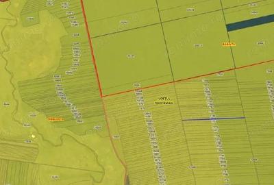 Teren de 1498 mp, în Orbeasca - 9