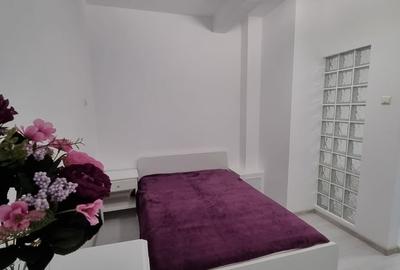 Calea Victoriei-Cismigiu-Apartament 2 camere cu terasa, renovat recent, mobilat - 4