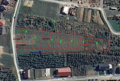 Spațiu comercial, în Paleu - 6