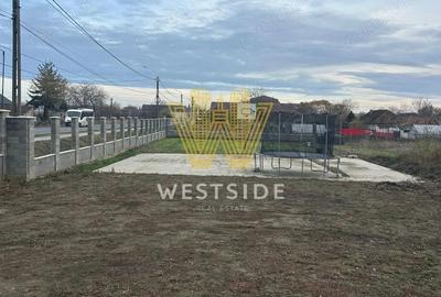 Vila deosebita de vanzare, in Biled - 12