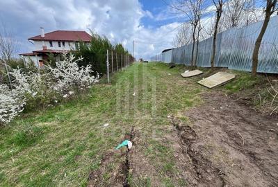 Terenuri de vânzare - Investiție cu potențial în Daia Nouă! - 4