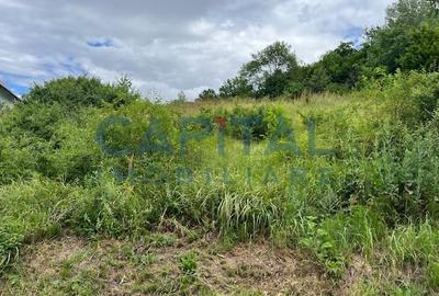 Teren Intravilan Constructii Podis-Margineni - 6