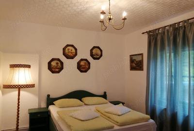 Cabana Sibiu Intravilan 4622mp Munte - 7