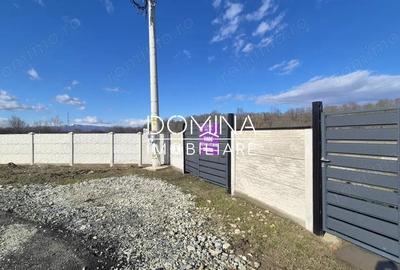 Teren de 1184 mp, în Drăguțești - 10