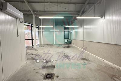 Spatii comerciale de inchiriat in PIATA DELFINULUI - 3