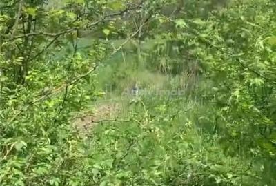 Teren de 500 mp, în Găneasa - 5