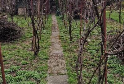 Casă cu 4 camere în Central - 1