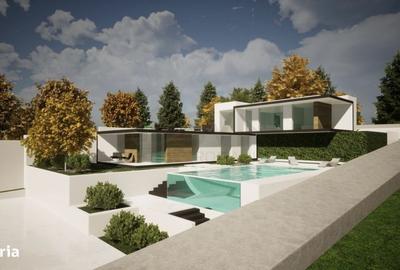 Casă cu 4 camere cu Teren 2490 Mp în Brănești - 9