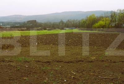 Casa individuala in zona linistita , Radaia (Baciu) - 2