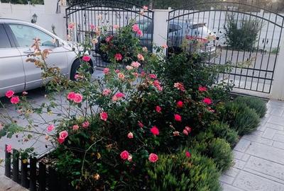 Casa P+1 Tip Duplex - Mamaia Nord - Mobilata Complet - Toate utilitatile - 18