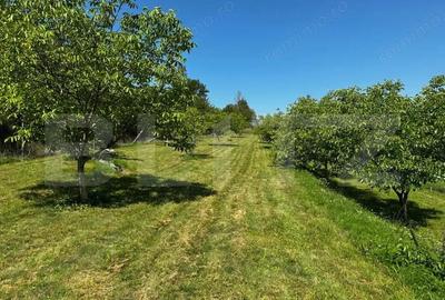 Teren deosebit de vanzare 1800 mp, Cheile Vali?oarei livada de nuci - 1