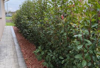 Oportunitate în Ghiroda – casă complet utilată, ideală pentru mutare rapidă! - 3