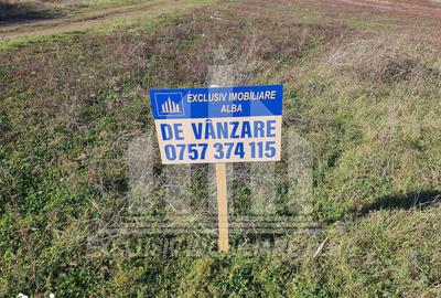 Teren de 1660 mp, în Central