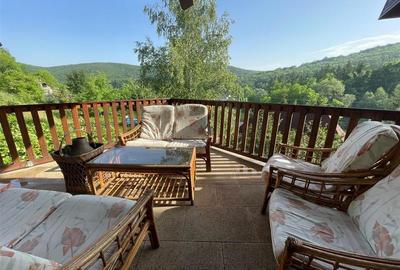 Cabana/Vila de inchiriat Luncani, 8 Km de Bacau - 2