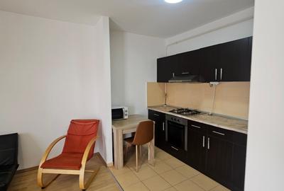 Apartament cu 2 camere semidecomandat, mobilat în Tătărași - 4