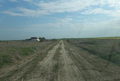 Teren de 480 mp, în Cârcea - 1