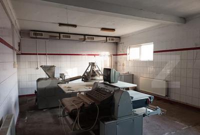 Cladire comerciala , Brutarie , utilaje incluse , teren 3321 - 21