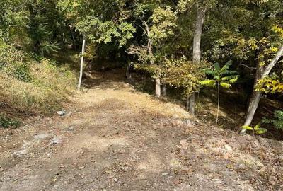 Teren în Viforâta - 5